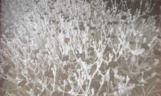 Artizan Collective Geopark Artists Residency Exhibition
