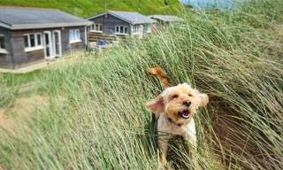 Saunton Beach Villas
