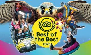 The Milky Way Adventure Park