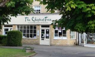 The Chestnut Tree