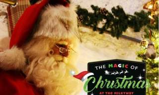 The Magic of Christmas at The Milky Way