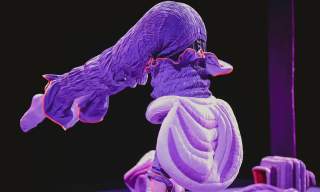 Himstregimser og andre duppeditter