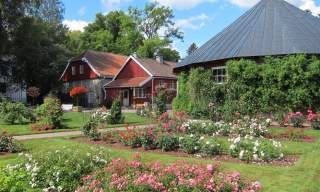 Naturmuseum og botanisk hage Universitetet i Agder