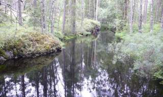 Fra hytte til hytte i Ulveholtet