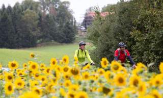 Cycle the Unionsleden