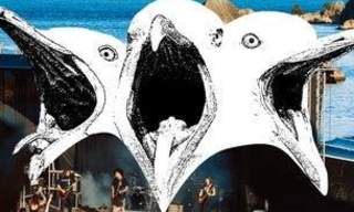 Måkeskrik 2026 | Dagsbillett fredag