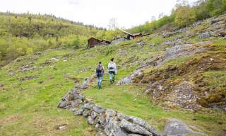 Avdalen Farm, Årdal