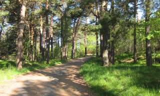 Turforslag og sykkelutleie i Risør