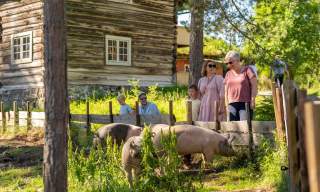 Anno Glomdalsmuseet