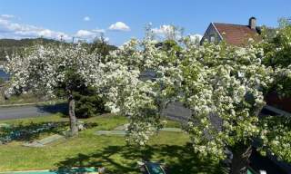 Minigolf - Sørlandet Feriesenter