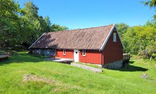Dvergsløa on Dvergsøya