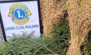 Selvhogst av juletrær