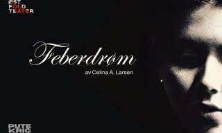 Feberdrøm