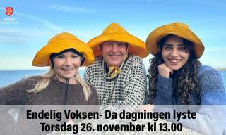 Endelig Voksen- Da dagningen lyste