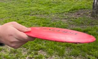 FrisbeeGolf - Hovskogen discgolfbane