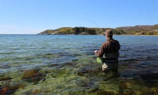 Sjøørretfiske på Sørlandet