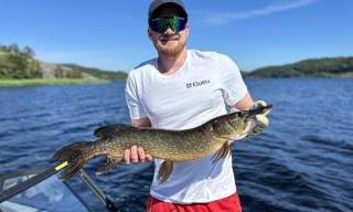 Predatorfiske fra båt på sørlandet