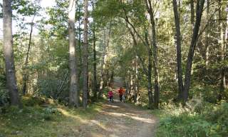 Lysløype Asdal Lunderød