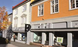 Moss kunst ramme