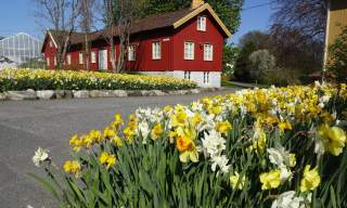 Dømmesmoen Ruslespor i Grimstad
