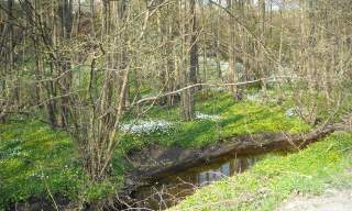 Groosebekken vandrepark