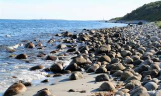 Strandryddedag og bålmat