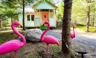 The Funny Farm - overnatting