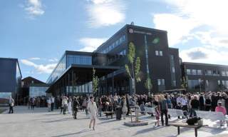 Universitetet i Agder