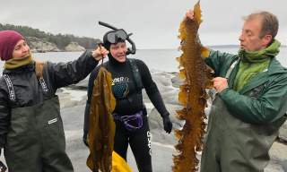 Sanke- og opplevelsestur til Lindesnes