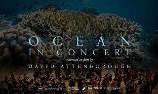 Ocean in Concert