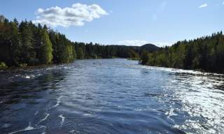 Tovdalselva naturområde