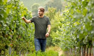 Winemakers Dinner med Alexander Pflüger