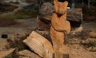 Bjørneløypa i Fredrikstad – barnas egen tursti i Bjørndalen | Fredrikstad