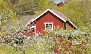 Sommeren på Kystmuseet Hvaler