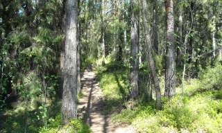 Kollen i Fjæreheia - Grimstad