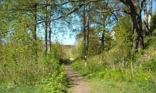 Turtips i Grimstad