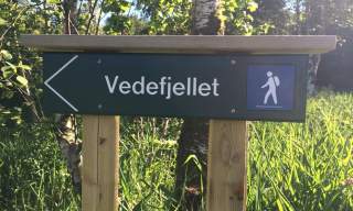 Vedefjell