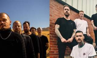 Fight the Fight + Halcyon Days