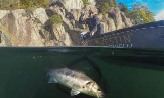 AnglerPilot Professional fishing guiding