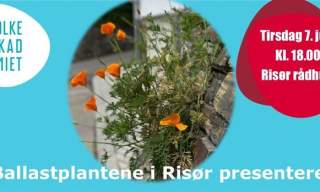 Ballastplantene i Risør presenteres