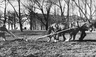 Haldens Minder: Om krisemat under krigen og beredskap i 2026