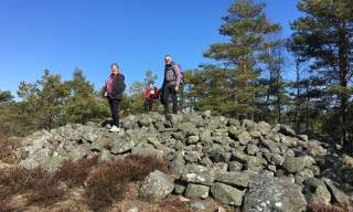 Turperler: Botneveten