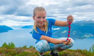 Norsk bringebærfestival, Vik