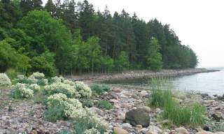 Trailtips: Walking along southern Jeløy peninsula