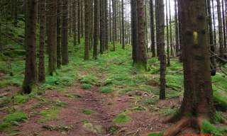 Kongeveien i Lyngdal