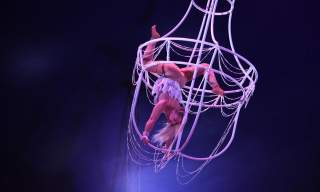 Cirkus Arnardo i Kristiansand