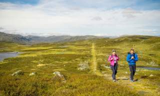 Kongevegen Fjellpasset - 3 dagar