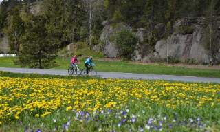 Sykkeltur "Syndle rundt" 47 km