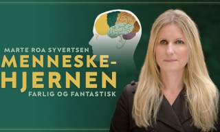 Menneskehjernen
