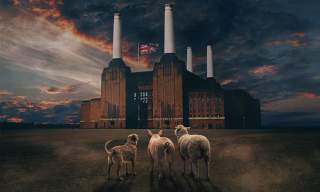 Brit Floyd – Animals 50
